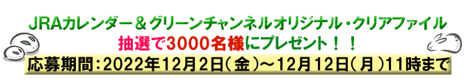 グリーンチャンネルオリジナル・クリアファイル