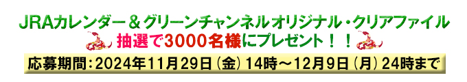 グリーンチャンネルオリジナル・クリアファイル