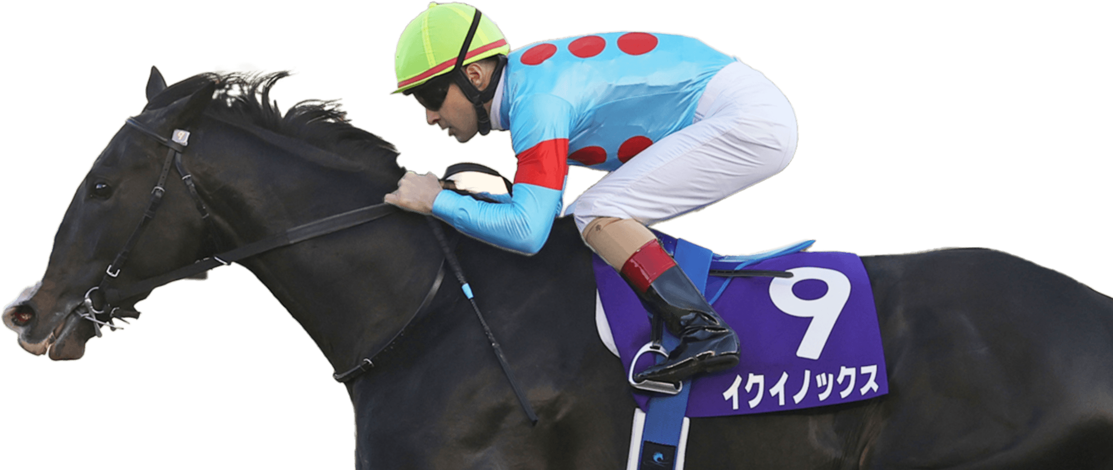 競馬が、まるっと！│グリーンチャンネル