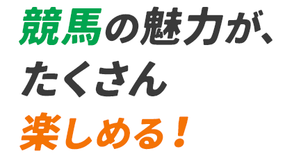 競馬の魅力が、​たくさん楽しめる！​