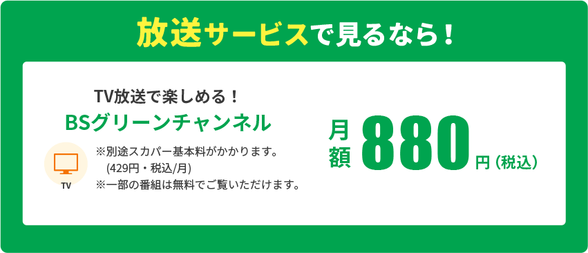 放送サービスで見るなら！​