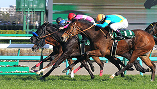 先週のレースリプレイ