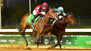 グリーンチャンネル​海外競馬中継​