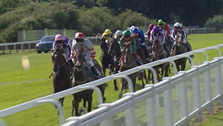 ALL IN LINE～世界の競馬～​
