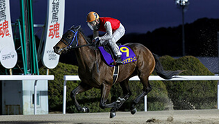 グリーンチャンネル地方競馬中継​​
