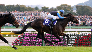 競馬年鑑​​