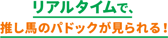 リアルタイムで、推し馬のパドックが見られる！​