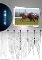 競馬年鑑
