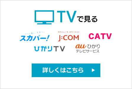 TVで見る