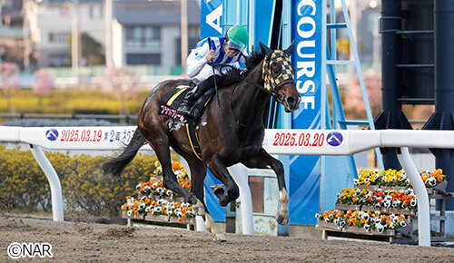 グリーンチャンネル地方競馬中継