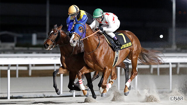 グリーンチャンネル地方競馬中継