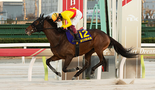グリーンチャンネル地方競馬中継
