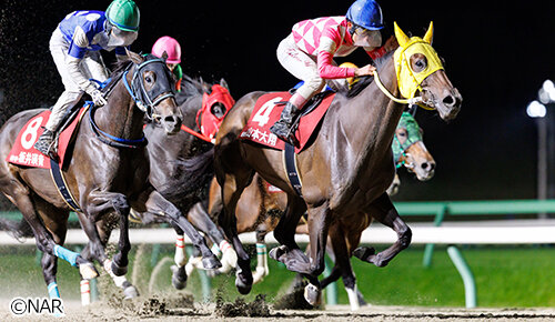 グリーンチャンネル地方競馬中継