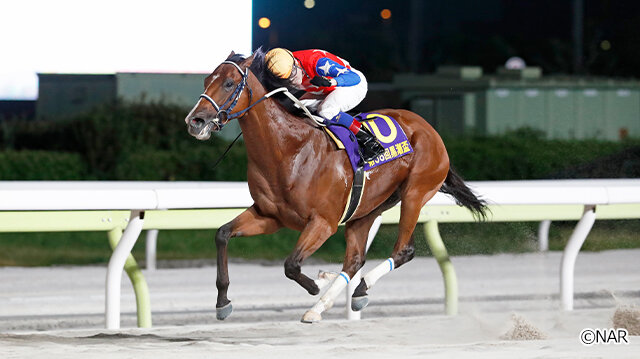 グリーンチャンネル地方競馬中継