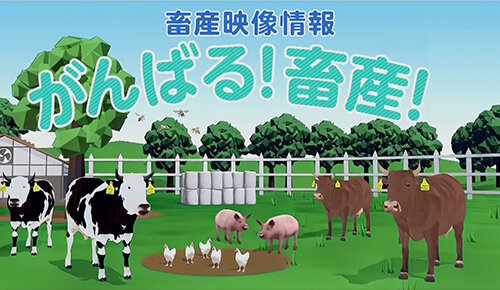 がんばる！畜産！