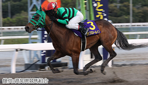 グリーンチャンネル地方競馬中継
