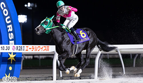 グリーンチャンネル地方競馬中継