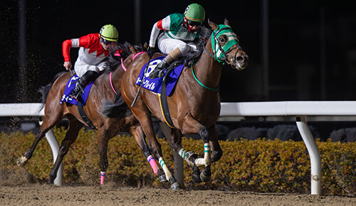 グリーンチャンネル地方競馬中継