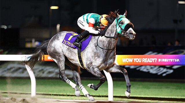 グリーンチャンネル地方競馬中継