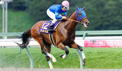 グリーンチャンネル地方競馬中継