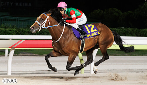 グリーンチャンネル地方競馬中継