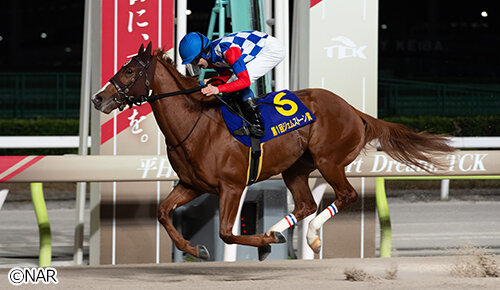 グリーンチャンネル地方競馬中継