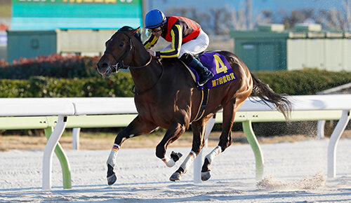グリーンチャンネル地方競馬中継