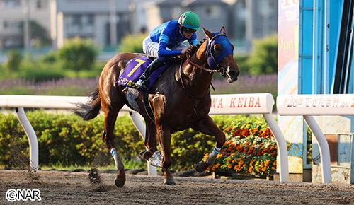 グリーンチャンネル地方競馬中継