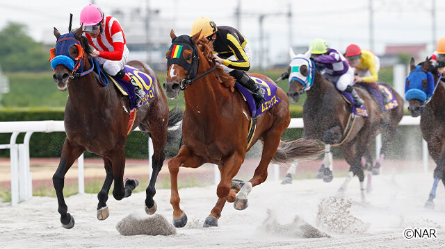 グリーンチャンネル地方競馬中継