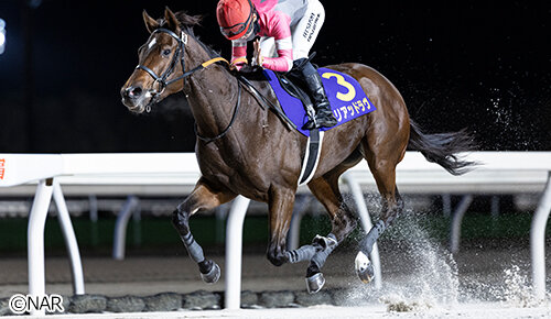 グリーンチャンネル地方競馬中継