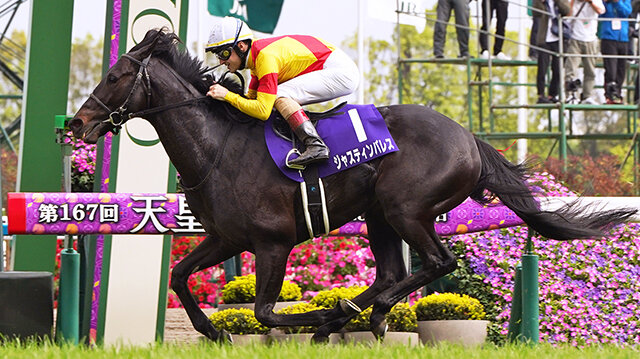 栄光の名馬たち