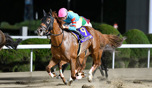 グリーンチャンネル地方競馬中継