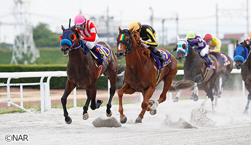 グリーンチャンネル地方競馬中継