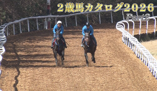 水曜馬スペ！２歳馬カタログ２０２６　Part２