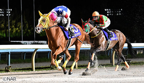 グリーンチャンネル地方競馬中継
