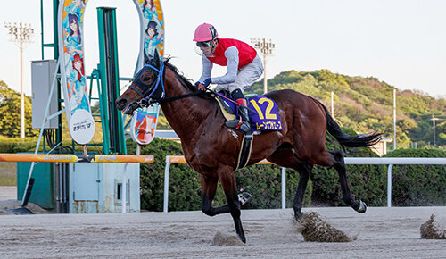 グリーンチャンネル地方競馬中継