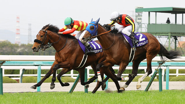 栄光の名馬たち