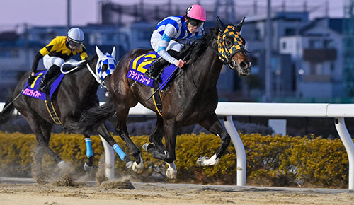 グリーンチャンネル地方競馬中継