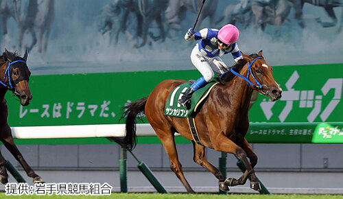 グリーンチャンネル地方競馬中継
