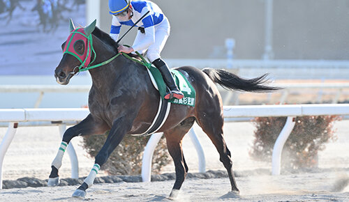 グリーンチャンネル地方競馬中継