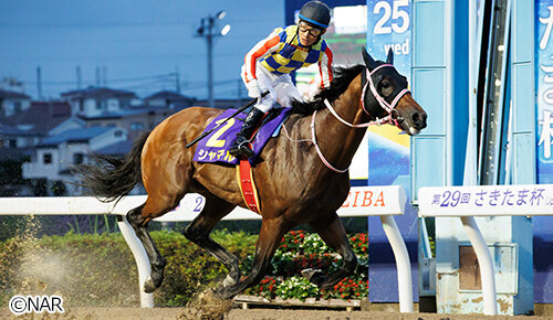 グリーンチャンネル地方競馬中継
