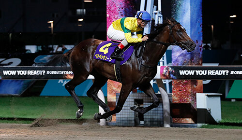 グリーンチャンネル地方競馬中継