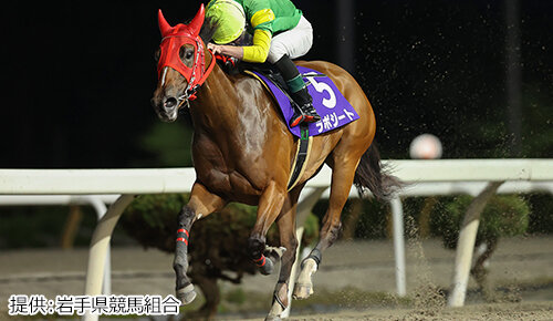 グリーンチャンネル地方競馬中継