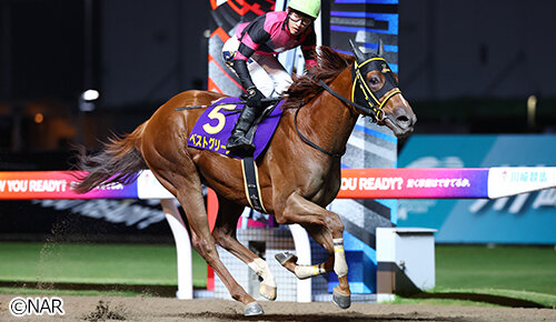 グリーンチャンネル地方競馬中継