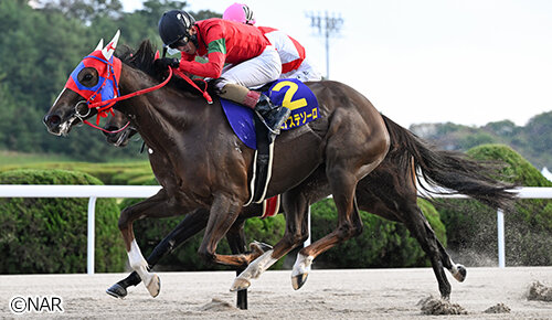 グリーンチャンネル地方競馬中継