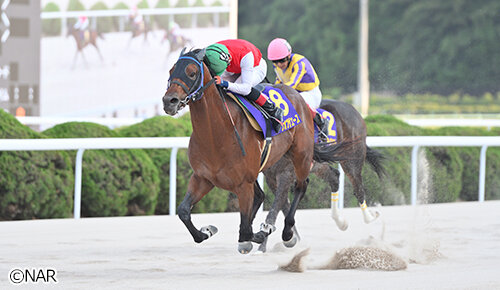 グリーンチャンネル地方競馬中継