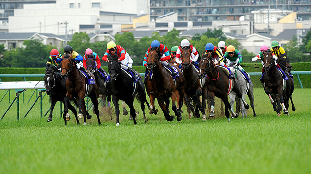 中央競馬全レース中継