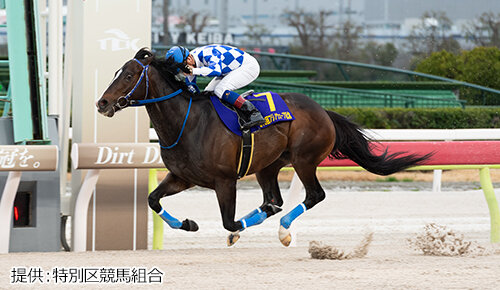 グリーンチャンネル地方競馬中継