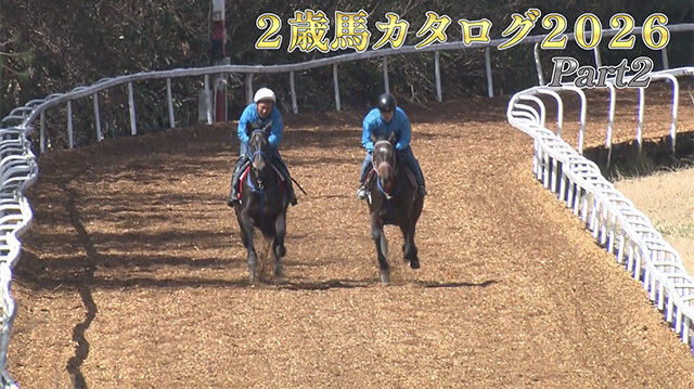 水曜馬スペ！２歳馬カタログ２０２６　Part２