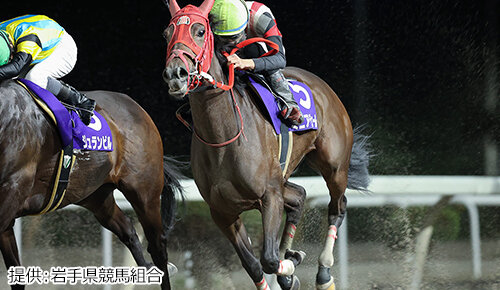 グリーンチャンネル地方競馬中継